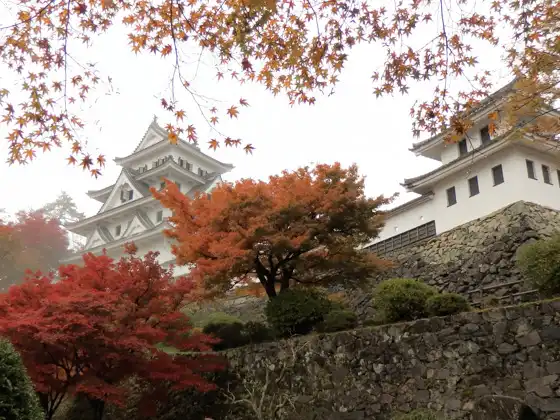 Gujo Hachiman Castle8